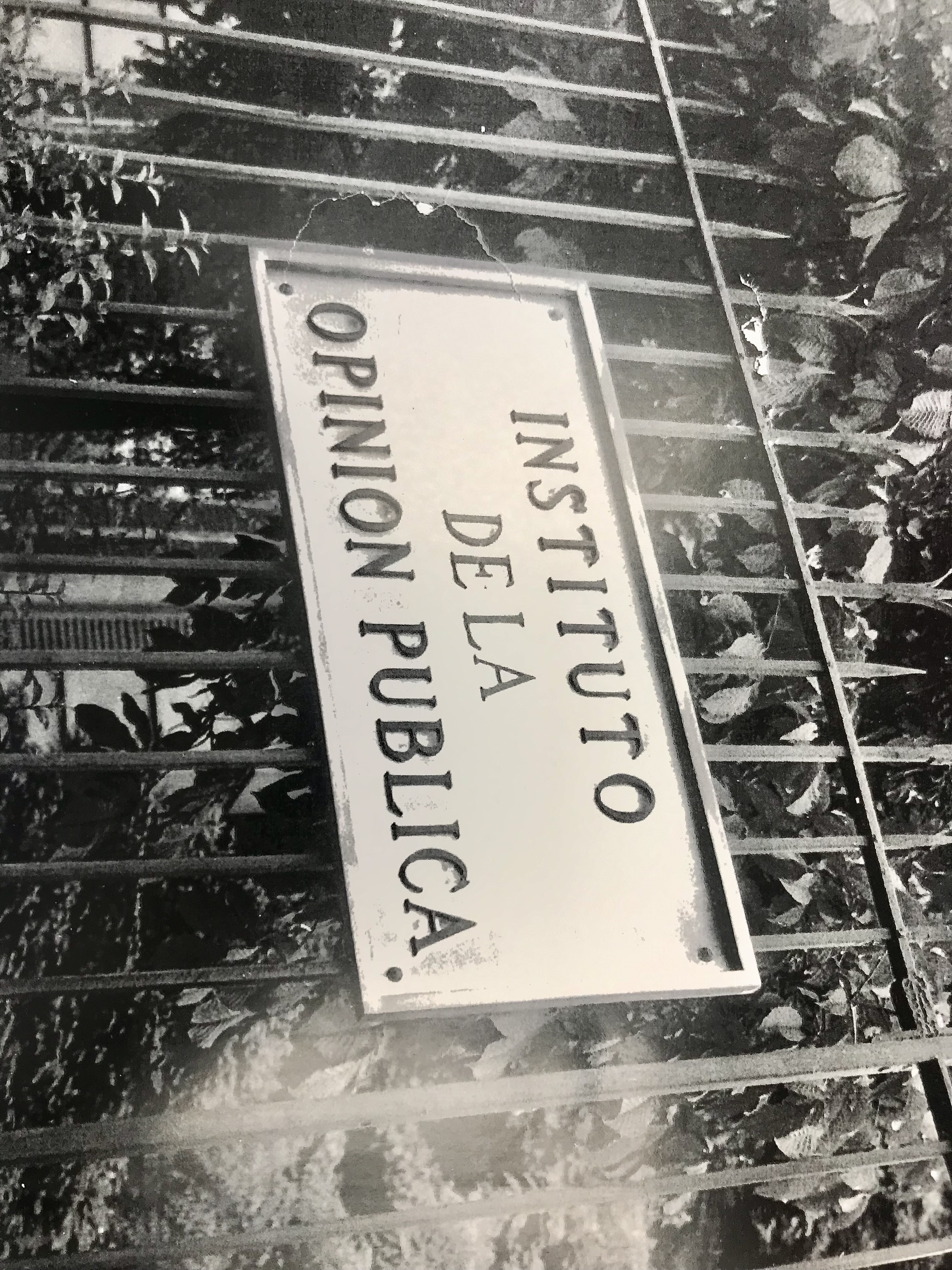 Fotografía cedida por Pilar Alcobendas Tirado