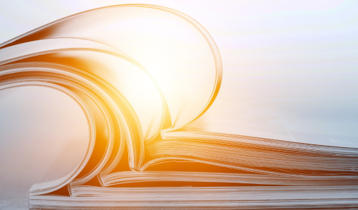 Novo titulo polo CIS “La interacción social: Escritos en homenaje a José Ramón Torregrosa”