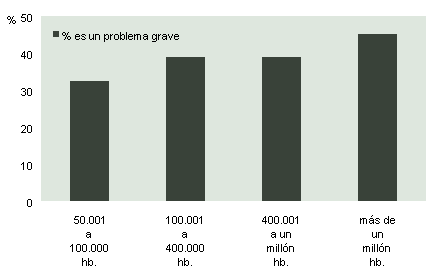 Gráfico 13