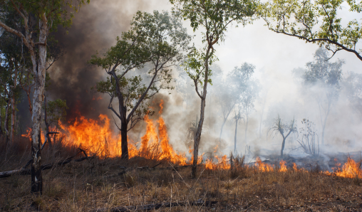 El 80,8% de los españoles prefiere que los servicios de prevención y extinción de incendios de su comunidad autónoma sean públicos